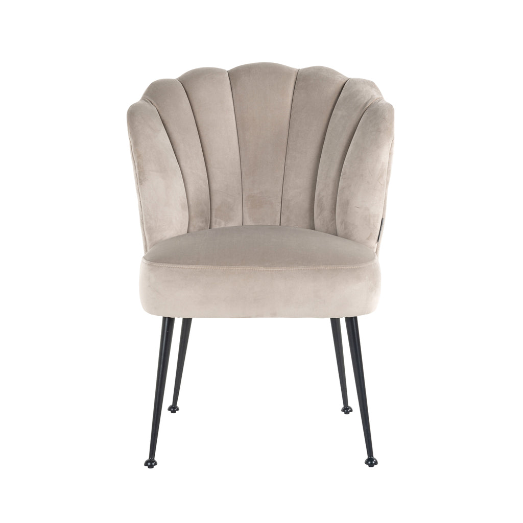 Chair Pippa khaki velvet / black