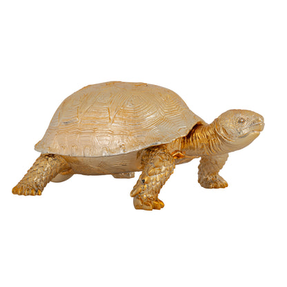 Boîte Décorative Tortue